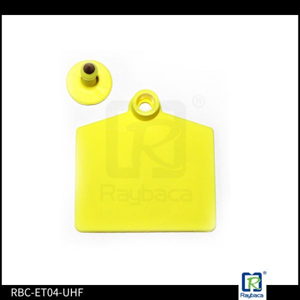 Big Size UHF RFID Livestock Tags , Engravable Cattle Ear Tags For Dairy Farm Cow