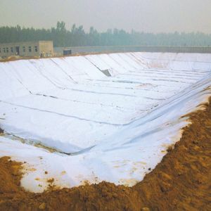 Water Channel Geomembranes for Water Management from Landfill Composite