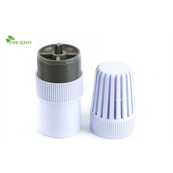 Plumbing Material Plastic PVC Foot Valve for Water Pump with Socket and Threaded