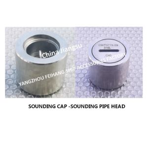 Stainless Steel 316L Elevated Sounding Pipe Head For Marine Ballast Tank Model: