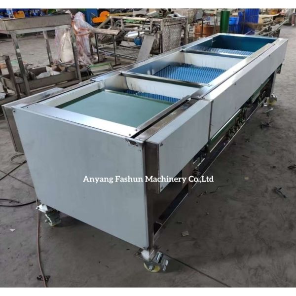 Buy Blueberry sorting machine, Blueberry grading machine, blueberry classification machine at wholesale prices
