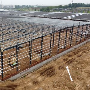 Q235B Prefabricated Steel Warehouse with Glass Wool Panels
