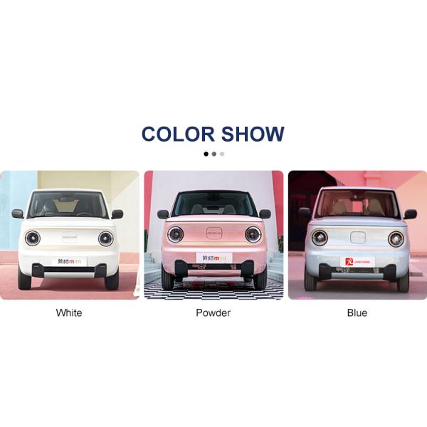 Budget-Friendly Geely Panda Mini EV 1940mm Wheelbase and Maximum Torque 85N.m for Affordable Electric SUV