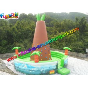 Quality Customized Inflatable Climbing Wall , inflatable rock wall With Jungle for sale