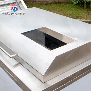 Streamline Your Manufacturing Process with Our Advanced Fruit And Vegetable