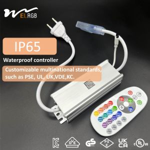 Waterproof Light Strip Controller Remote Control Bluetooth Control for Lighting