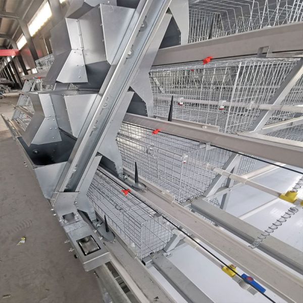 Buy One Day Old Baby Chick Cage With Full Automatic System at wholesale prices