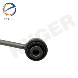 1663200789 Automotive Suspension System Stabilizer Bar Link Balance Bar Anti