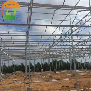 Quick Construction Vegetables Growing Greenhouse with Complete Multi Span Design