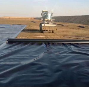 0.1mm-2.5mm Thickness Geomembrane HDPE Plastic Fish Tank for Fish Farm