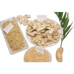 New Crop Air Dried Ginger Powder From Factory Ginger Manufacturer Made Dehydrated