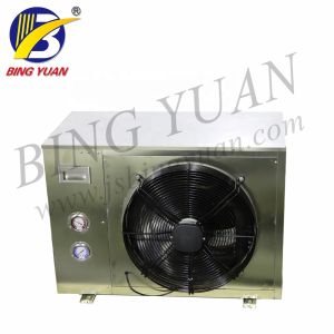 645x625x485mm 0.1 Ton 2500W Artificial Snowfall Machine