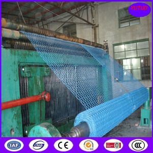 Quality PVC coating Hexagonal Wire Netting, Chicken Wire (1'' 2'') for sale