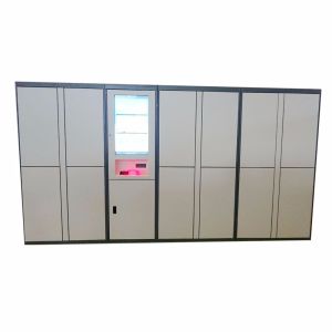 Smart Outdoor Automatic Digital Sms Sending Dry Clean Locker