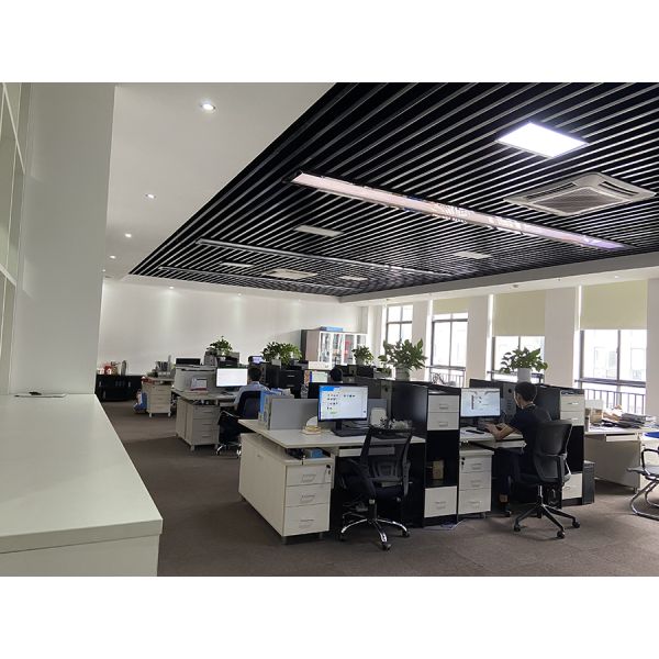 DOMANCA 2024 Electric Bike 7 Speed E bike with Rear Hub Motor and Max Speed of 30-50Km/h