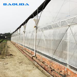 Seedling Nursery Greenhouse Structure Galvanizing Steel Arched Frame Multi Span