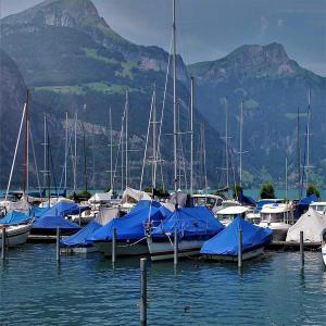 PE Waterproof Tarpaulin Sheet for Outdoor Furniture and Truck Cover Tear