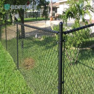 School Farm Chain Link Fence Cultivation