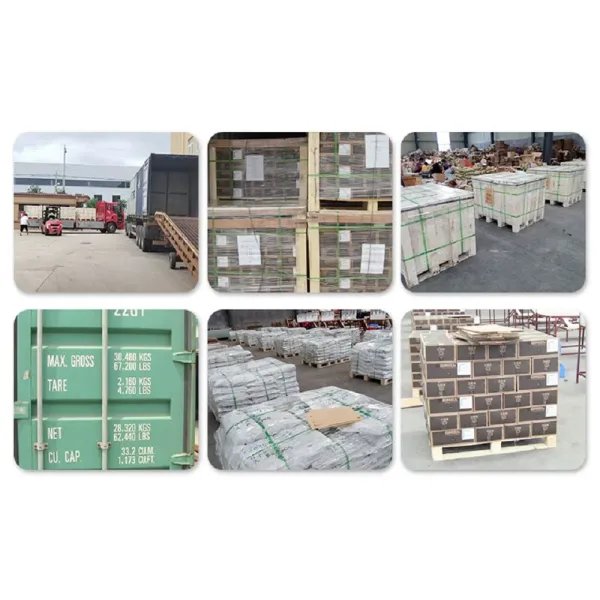 CE Us Type/JIS Type Shackle Without Collar Drop Forged Screw Pin D Shackle Sb Shackle Dee Shackle