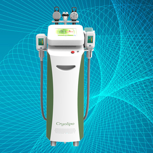 Buy Newest Cryo Slimming Fat Freeze Machines Cryolipolysis laser at wholesale prices