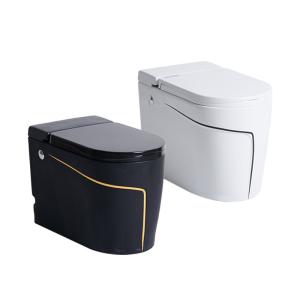 One Piece Black Smart Intelligent Toilet Sanitary Ware 615*360*455mm