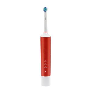 Portable Rotary Electric Toothbrush
