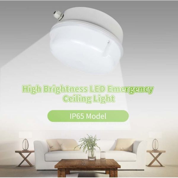3 Hours 15W 6500K Wall Mounted LED Emergency Light