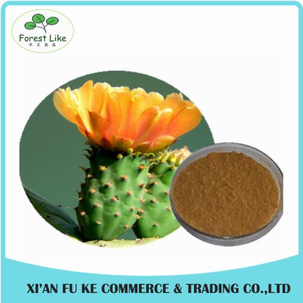 Buy Factory Price Natural Cactus Extract / Cereus Extract for Medicine at wholesale prices