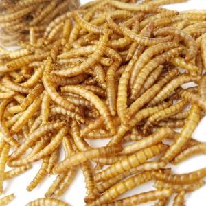 Quality GMP Guaranteed Quality Proper Price Bulk Dried Pet Food Mealworms for sale