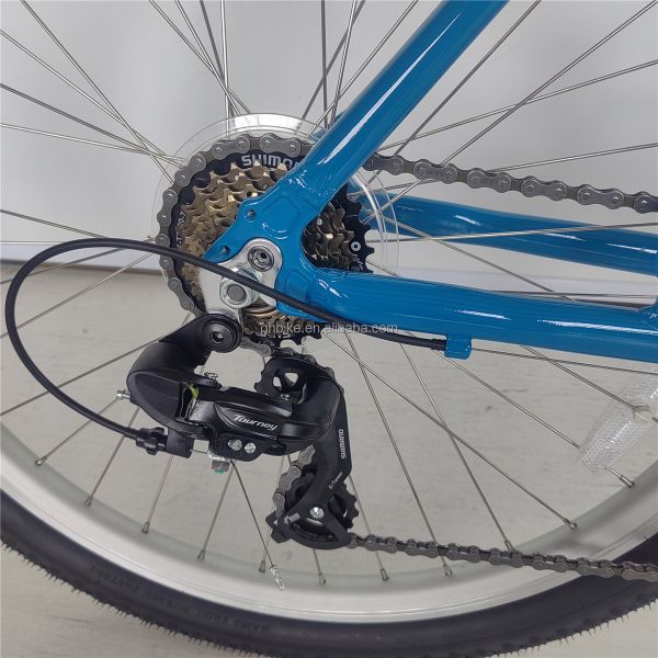 Electra Adult Step Through Aluminum Frame 7 Speed Hybrid 26 Inch Beach Cruiser Bike