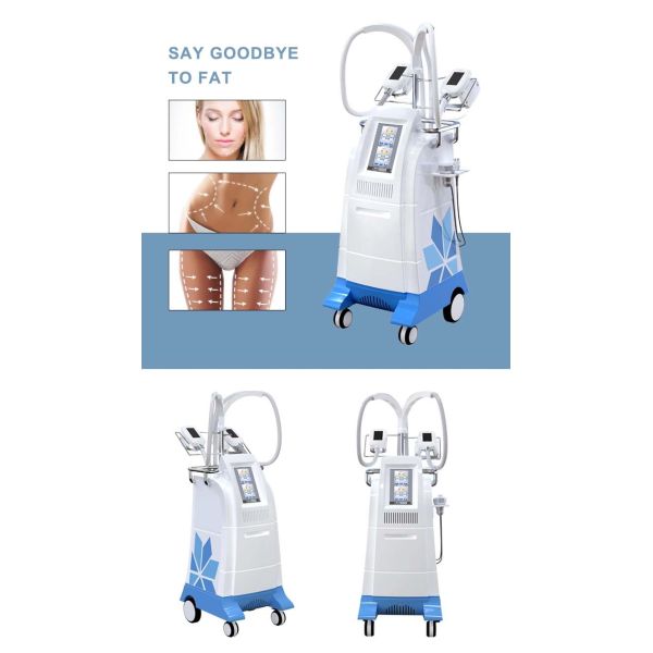 Vertical 2 Cryo Handles Work At The Same Time Cryolipolysis Weight Loss Machine