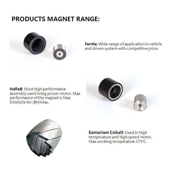 High Quality Magnet Assembly&Industrial Magnetic Couplings (NdFeB/Ferrite/Alnico/SmCo)