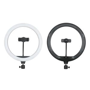 Quality White Warm Soft 110PCS 30cm 12 Inch Ring Light With Stand for sale