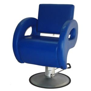 Professional Custom Salon Styling Chairs Fixed Backrest With U - Shape Footrest