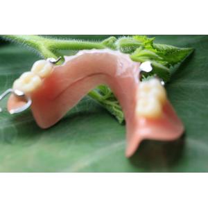 Partial Removable Acrylic Partial Denture
