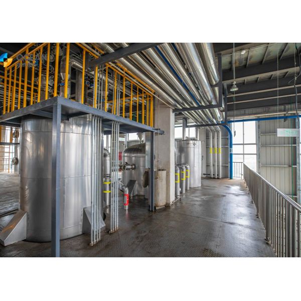 Buy Sunflower Seeds Edible Oil Processing Equipment Fully Automatic Refining at wholesale prices
