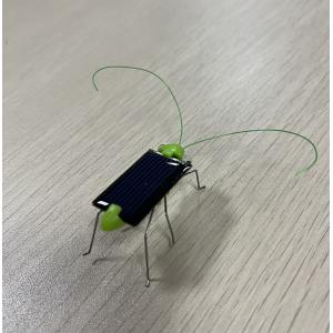 Quality Mini Solar Grasshopper /solar Toy/educational Toy for Kids for sale