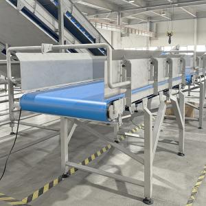 Spinach quick freezing line Fruit and vegetable quick freezing processing