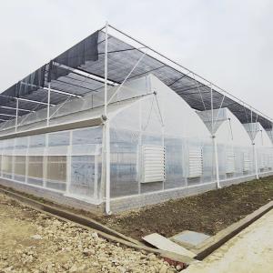 Tropical Climate Sawtooth Poly Tunnel Plastic Film Agricultural Greenhouse