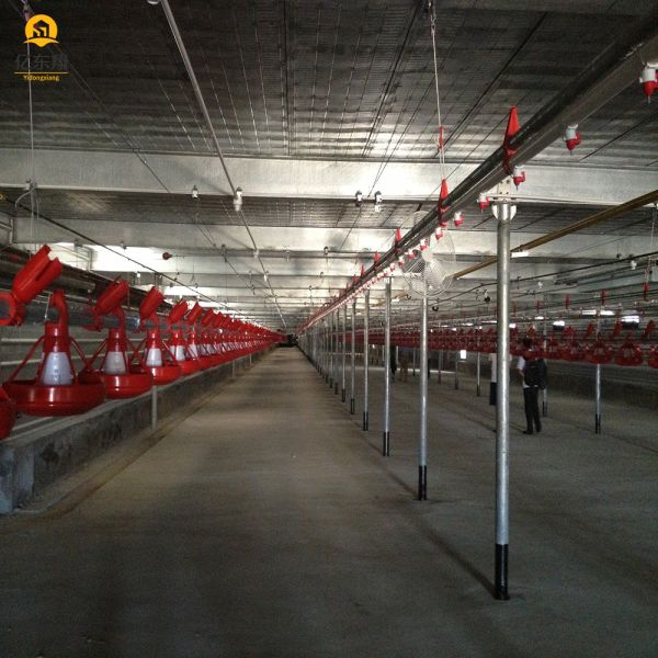 Galvanized Steel Structure Poultry House for 20 Chickens