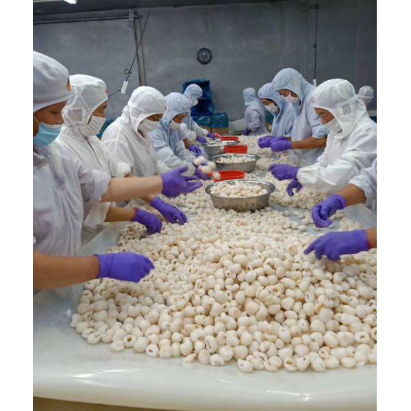 Crop Fresh Iqf Frozen Lychee Whole