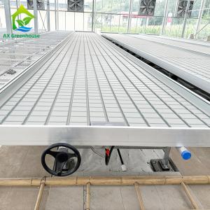 Greenhouse Hydroponic Soilless Culture Ebb Flood Grow Table Seedbed Rolling