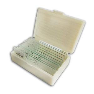 Quality Medical Teaching Research Algae Botany 10pcs Pre Prepared Microscope Slides for sale