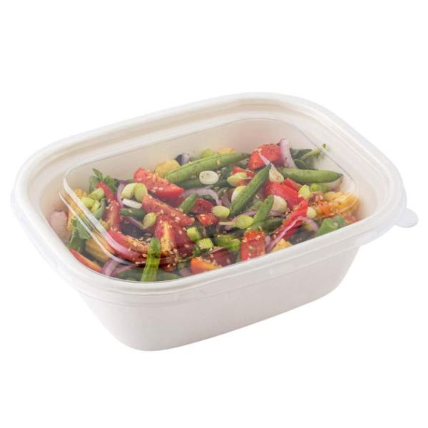 Buy Oilproof Meal  Bento 27g 48oz Biodegradable Salad Boxes at wholesale prices