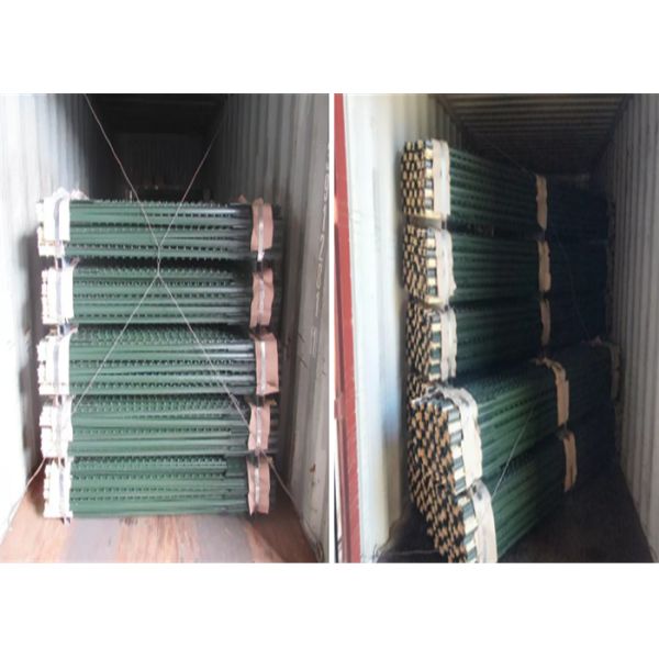 8" Height Green Tee Studded Fence Post T Type