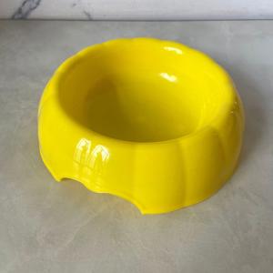 Stylish Pumpkin Pet Bowls - Enhancing Modern Pet Spaces