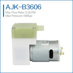high flow micro vacuum pump