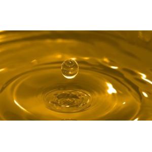 Pure Natural Secoisolariciresinol Diglucoside --Linum usitatissimum L.