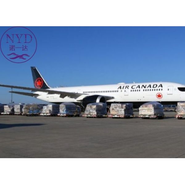 Buy Logistics DHL International Air Freight Shipping With Tracking Delivery at wholesale prices