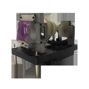 NP22LP NEC Projector Bulbs